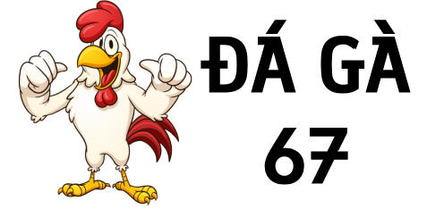 đá gà 67
